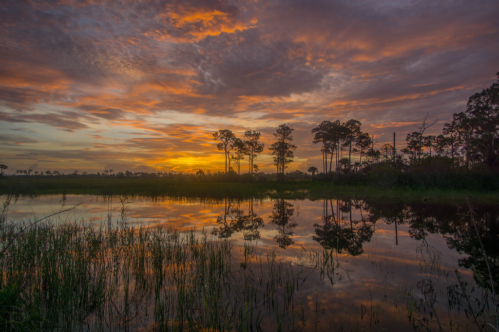 Big Cypress National Preserve