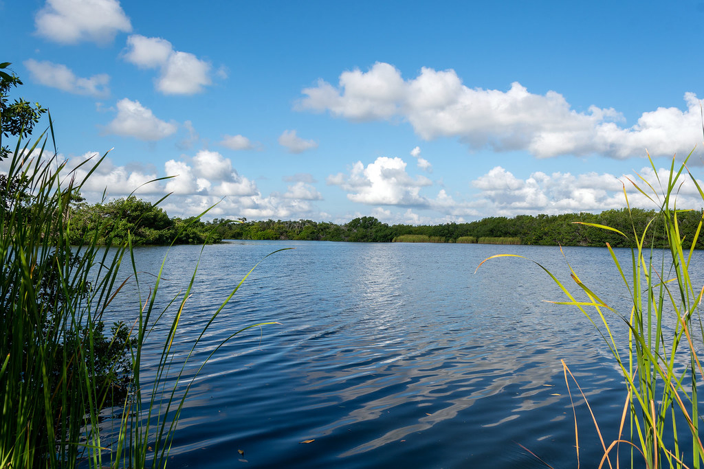 Everglades National Park